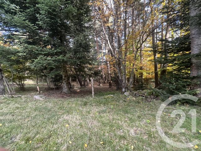 Terrain &agrave; vendre - 17697 m2 - Burdignes - 42 - RHONE-ALPES