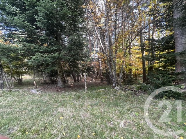 Terrain &agrave; vendre - 17697 m2 - Burdignes - 42 - RHONE-ALPES