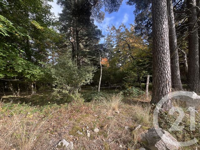 Terrain &agrave; vendre - 17697 m2 - Burdignes - 42 - RHONE-ALPES