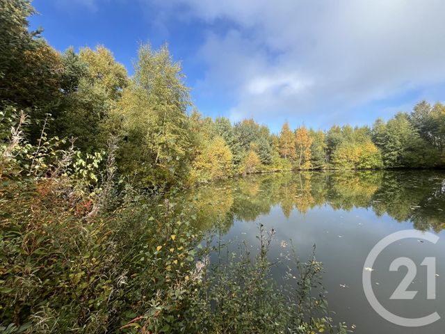 terrain - BURDIGNES - 42