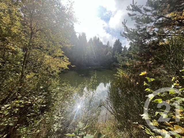 Terrain &agrave; vendre - 17697 m2 - Burdignes - 42 - RHONE-ALPES