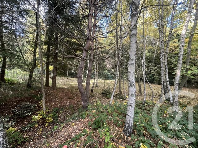 Terrain &agrave; vendre - 17697 m2 - Burdignes - 42 - RHONE-ALPES