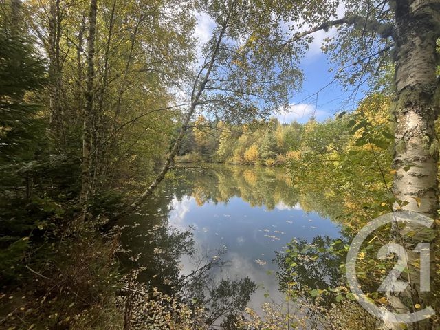 Terrain &agrave; vendre - 17697 m2 - Burdignes - 42 - RHONE-ALPES