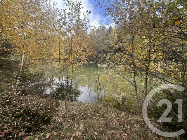 Terrain &agrave; vendre - 17697 m2 - Burdignes - 42 - RHONE-ALPES