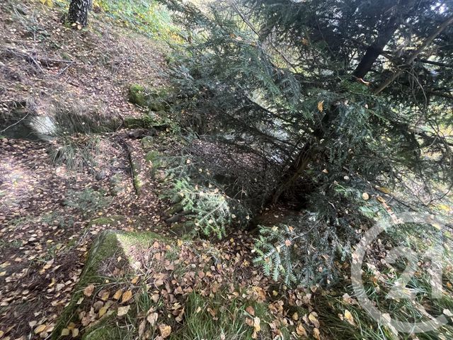 Terrain &agrave; vendre - 17697 m2 - Burdignes - 42 - RHONE-ALPES