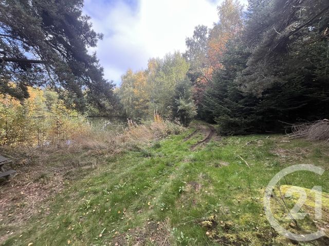 Terrain &agrave; vendre - 17697 m2 - Burdignes - 42 - RHONE-ALPES