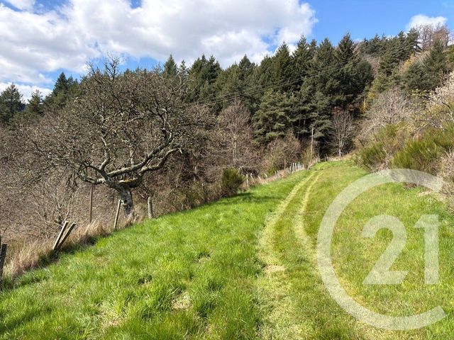 Maison &agrave; vendre - 7 pi&egrave;ces - 184 m2 - Annonay - 07 - RHONE-ALPES