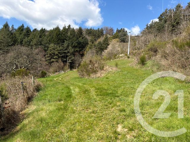 Maison &agrave; vendre - 7 pi&egrave;ces - 184 m2 - Annonay - 07 - RHONE-ALPES