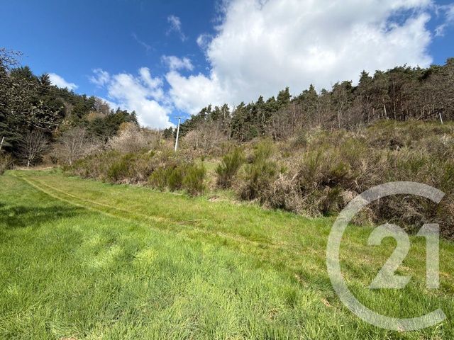 Maison &agrave; vendre - 7 pi&egrave;ces - 184 m2 - Annonay - 07 - RHONE-ALPES