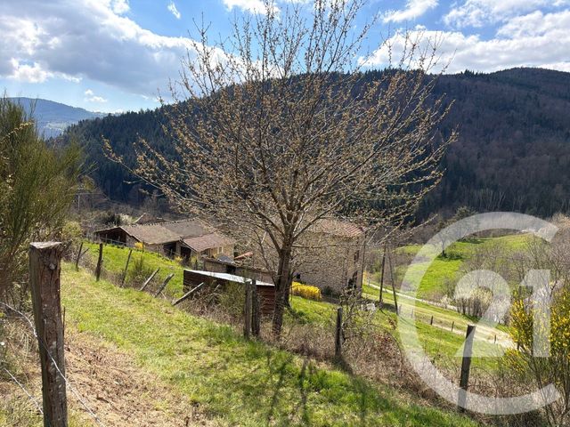 Maison &agrave; vendre - 7 pi&egrave;ces - 184 m2 - Annonay - 07 - RHONE-ALPES