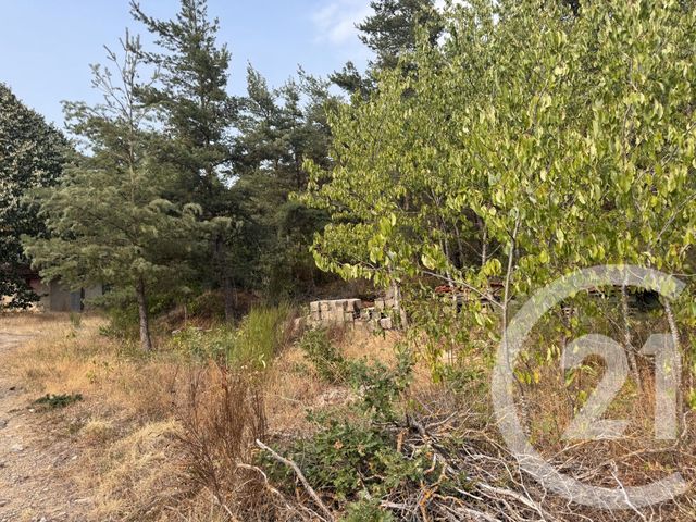 Terrain &agrave; vendre - 2999 m2 - St Alban D Ay - 07 - RHONE-ALPES