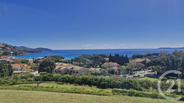 Appartement Studio cabine &agrave; vendre - 2 pi&egrave;ces - 25,29 m2 - Le Lavandou - 83 - PROVENCE-ALPES-COTE-D-AZUR