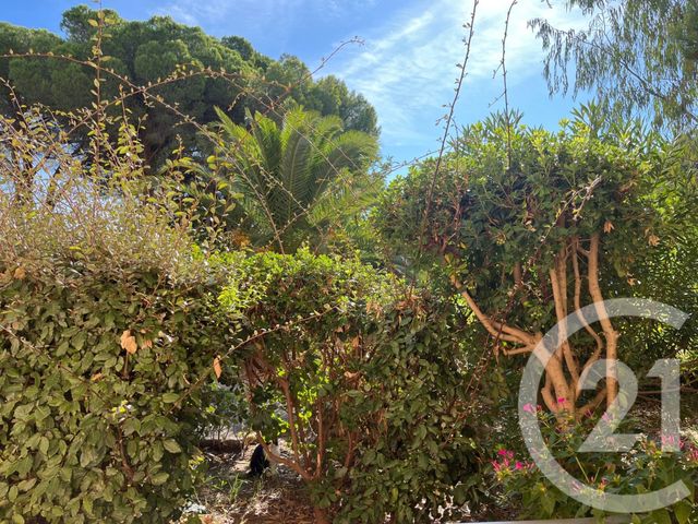 Appartement T3 à vendre - 3 pièces - 34,68 m2 - Bormes Les Mimosas - 83 - PROVENCE-ALPES-COTE-D-AZUR