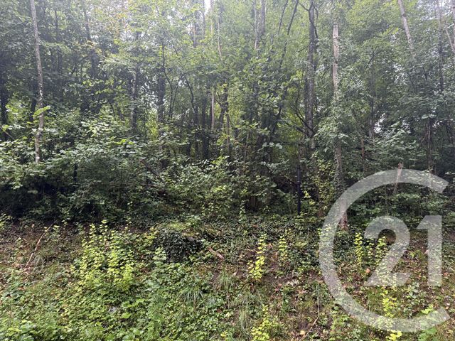 Terrain &agrave; vendre - 2400 m2 - La Tour - 74 - RHONE-ALPES