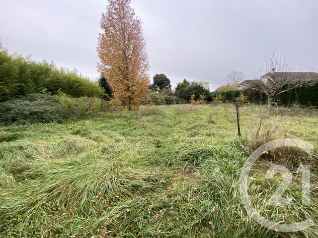 Maison à vendre - 6 pièces - 187 m2 - Tarbes - 65 - MIDI-PYRENEES