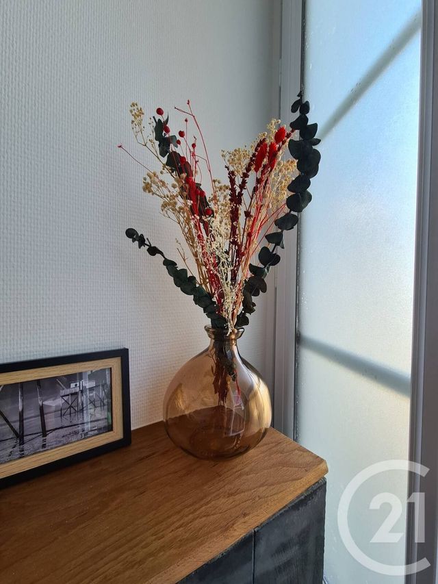 Appartement F1 à louer - 1 pièce - 27,11 m2 - Rochefort - 17 - POITOU-CHARENTES