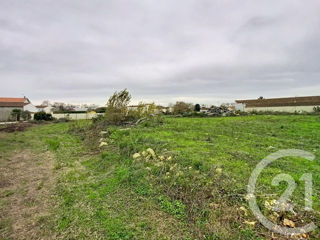 Terrain à vendre - 5570 m2 - Chambon - 17 - POITOU-CHARENTES