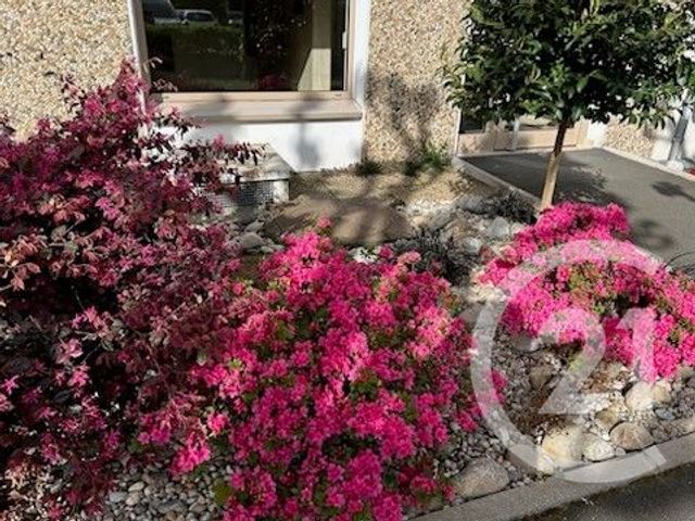 Appartement T1 à louer - 1 pièce - 31 m2 - St Etienne - 42 - RHONE-ALPES