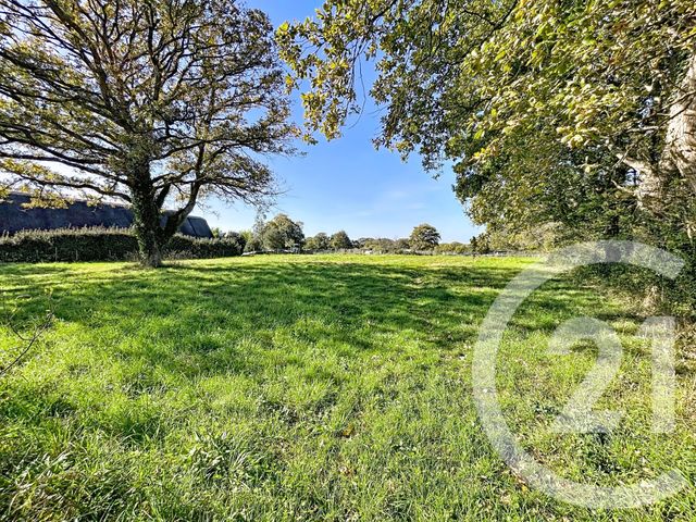 terrain - ST LYPHARD - 44