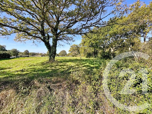 Terrain &agrave; vendre - 1338 m2 - St Lyphard - 44 - PAYS-DE-LOIRE
