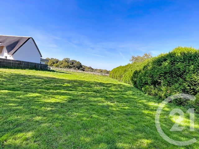 terrain - ST LYPHARD - 44