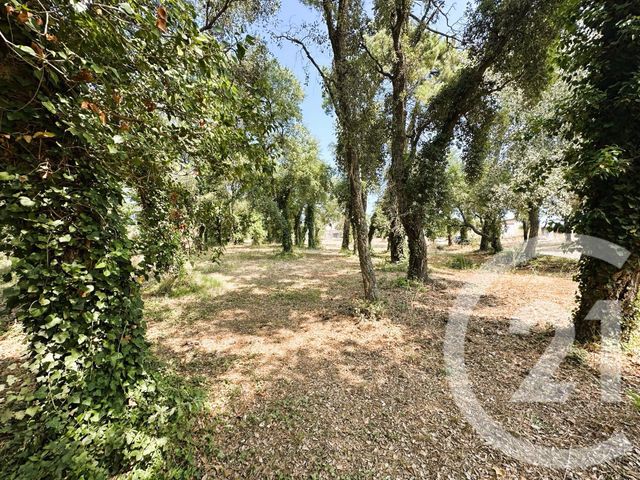 Maison à vendre - 10 pièces - 300 m2 - Cogolin - 83 - PROVENCE-ALPES-COTE-D-AZUR