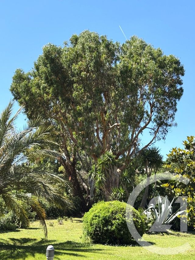 Appartement Studio &agrave; vendre - 1 pi&egrave;ce - 25 m2 - St Tropez - 83 - PROVENCE-ALPES-COTE-D-AZUR