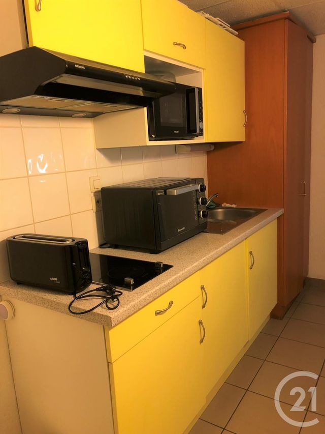 Appartement Studio &agrave; louer - 1 pi&egrave;ce - 23,29 m2 - Annemasse - 74 - RHONE-ALPES