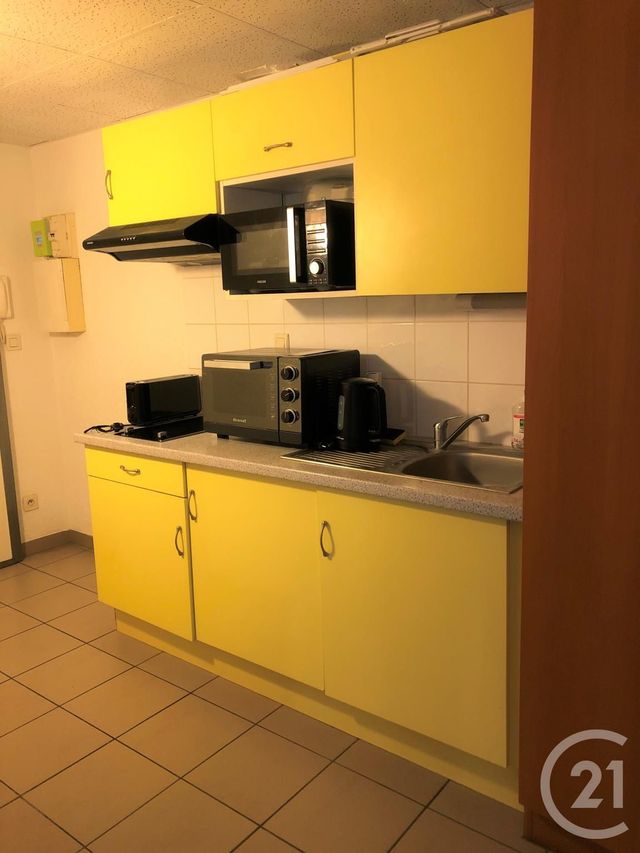 Appartement Studio &agrave; louer - 1 pi&egrave;ce - 23,29 m2 - Annemasse - 74 - RHONE-ALPES