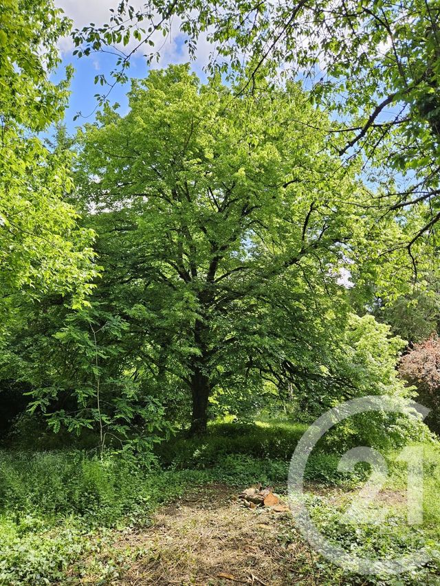 Terrain &agrave; vendre - 1157 m2 - Migne Auxances - 86 - POITOU-CHARENTES