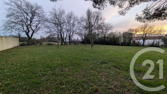 terrain - PONT ST MARTIN - 44