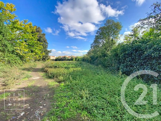 terrain - TOULOUGES - 66