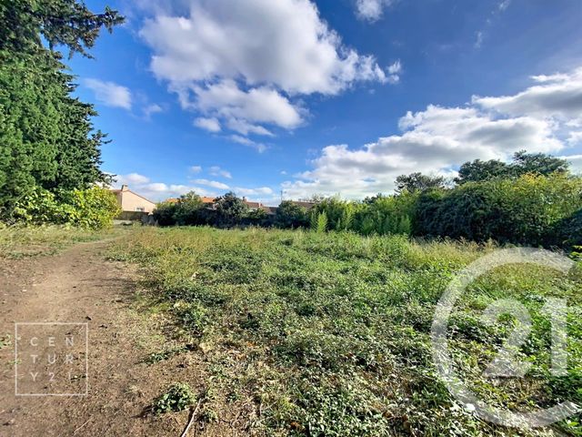 Terrain &agrave; vendre - 981 m2 - Toulouges - 66 - LANGUEDOC-ROUSSILLON