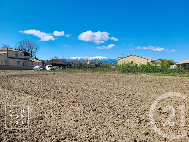 terrain - MILLAS - 66