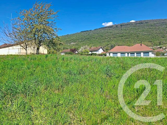 terrain - LHUIS - 01