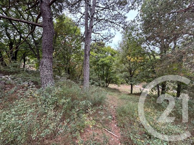 Terrain &agrave; vendre - 3470 m2 - Caussols - 06 - PROVENCE-ALPES-COTE-D-AZUR