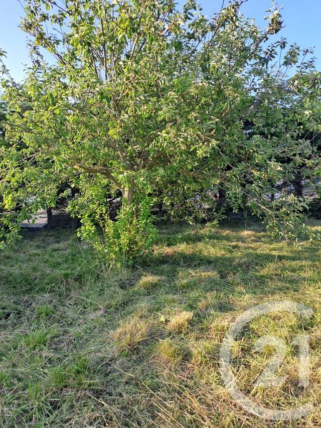 Terrain à vendre - 693 m2 - Guilvinec - 29 - BRETAGNE