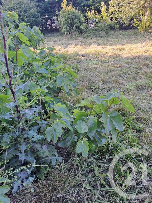 Terrain à vendre - 693 m2 - Guilvinec - 29 - BRETAGNE