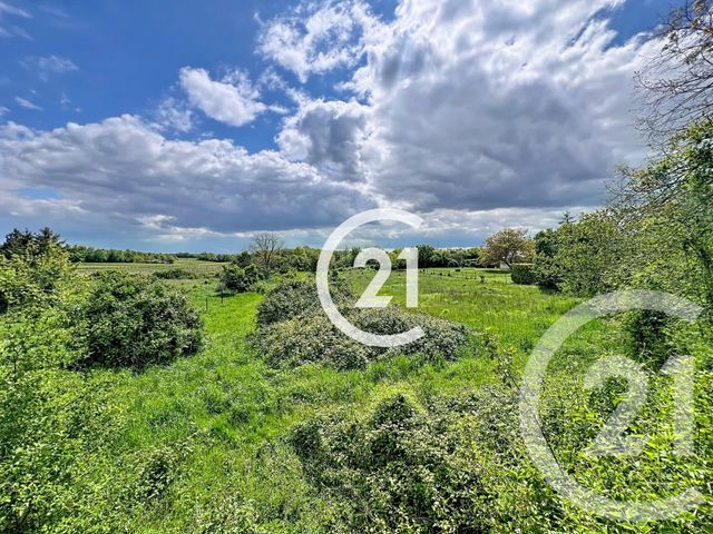 Maison &agrave; vendre - 8 pi&egrave;ces - 290 m2 - Louzac St Andre - 16 - POITOU-CHARENTES
