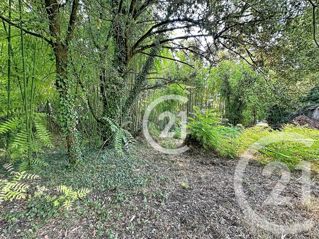Maison &agrave; vendre - 7 pi&egrave;ces - 239 m2 - Juillac Le Coq - 16 - POITOU-CHARENTES