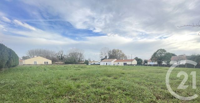 Terrain à vendre - 503 m2 - Commequiers - 85 - PAYS-DE-LOIRE