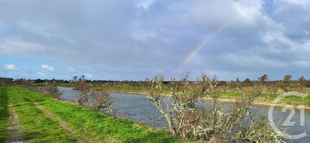 Terrain à vendre - 15320 m2 - St Hilaire De Riez - 85 - PAYS-DE-LOIRE