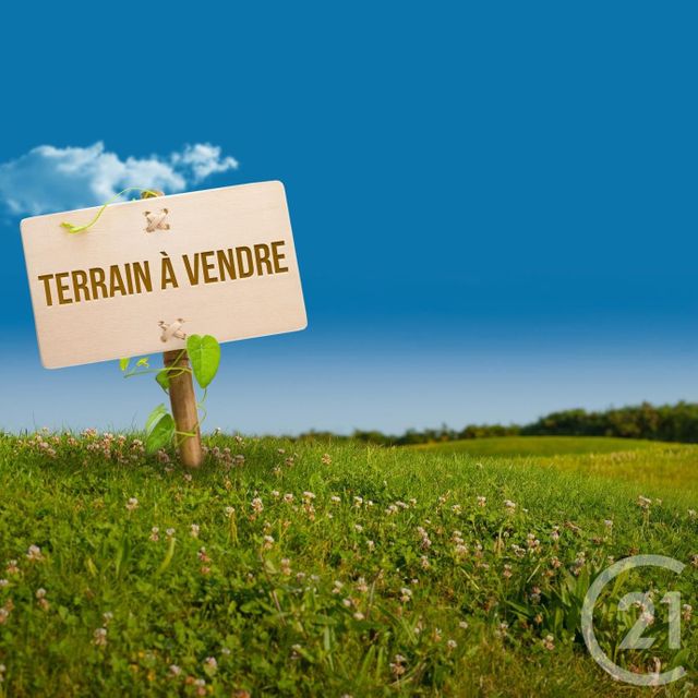 terrain - ST HILAIRE DE RIEZ - 85