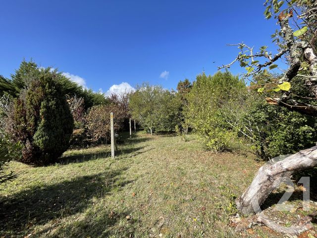 terrain - ST HILAIRE DE RIEZ - 85