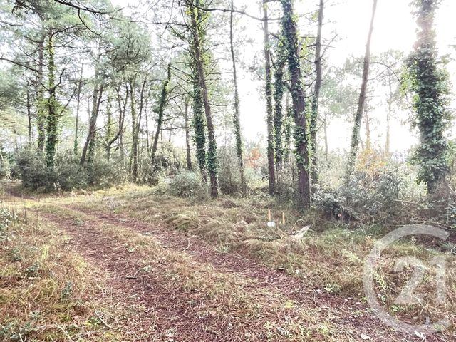 Terrain à vendre - 1790 m2 - St Jean De Monts - 85 - PAYS-DE-LOIRE