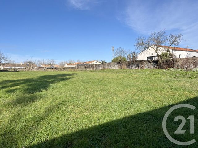 terrain - NOTRE DAME DE RIEZ - 85