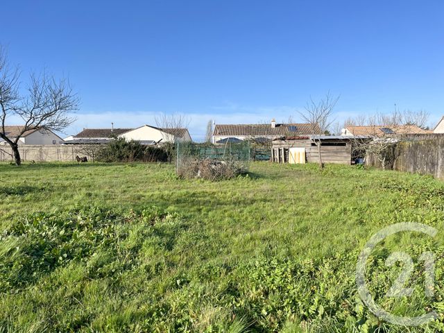 terrain - NOTRE DAME DE RIEZ - 85