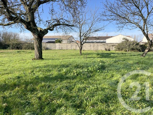 terrain - NOTRE DAME DE RIEZ - 85