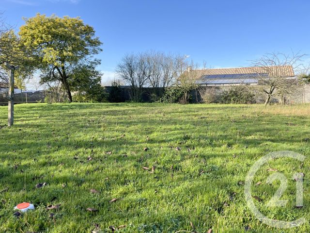 terrain - NOTRE DAME DE RIEZ - 85