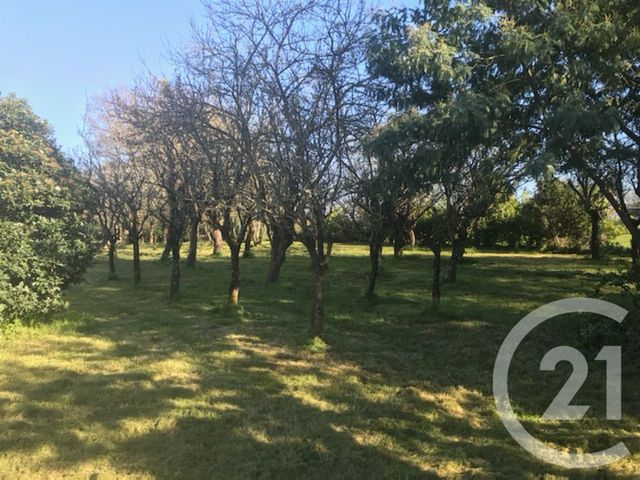 Maison &agrave; vendre - 5 pi&egrave;ces - 120 m2 - St Reverend - 85 - PAYS-DE-LOIRE